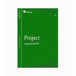 Project 2016 Professional - 1 PC - licenta electronica