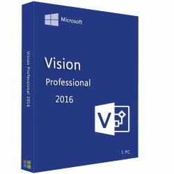 Visio 2013 Professional - 1 PC - licenta electronica