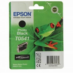 cartus cerneala Epson T0541 Photo Black (C13T05414010) 13ml