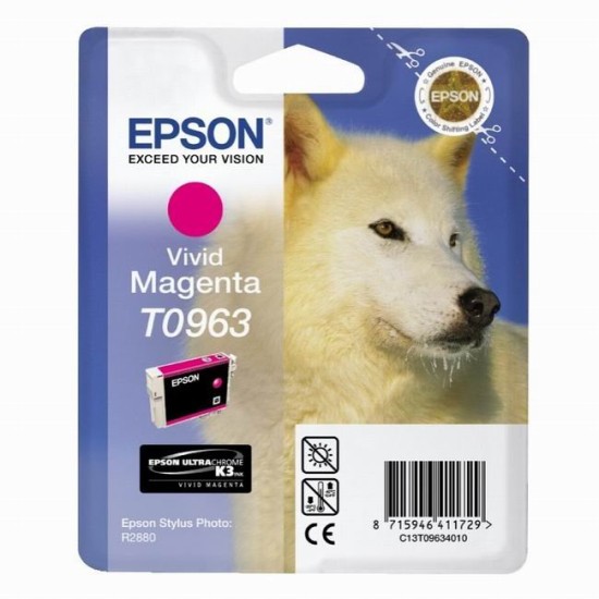 Cartus cerneala Epson 