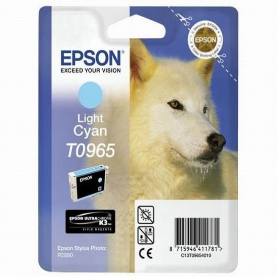 Cartus cerneala Epson 