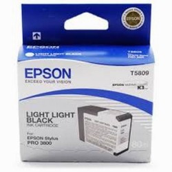 cartus cerneala Epson T5809 Gray (C13T580900) 80ml