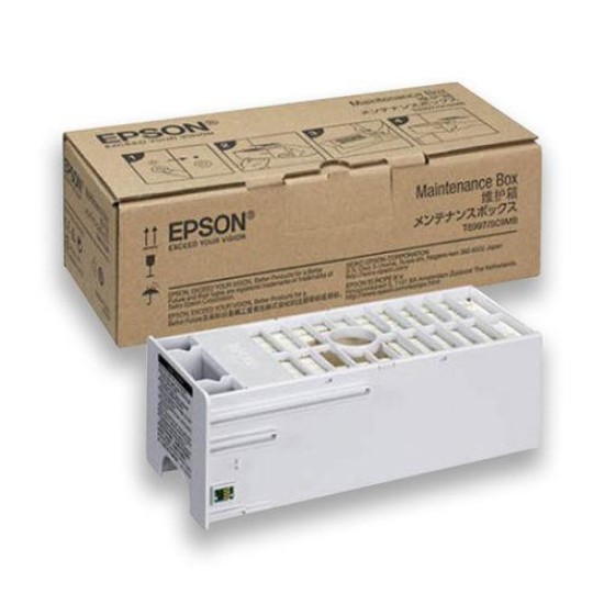Cartus cerneala Epson T699000 CLEANING CARTRIDGE image
